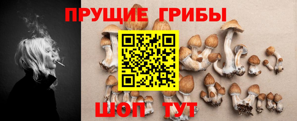 Галлюциногенные грибы MAGIC MUSHROOMS Семёнов